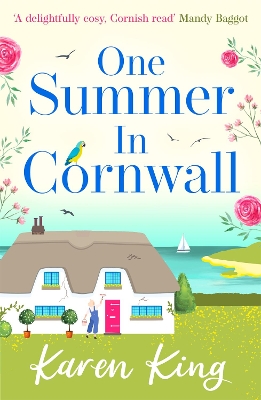 One Summer in Cornwall: the perfect feel-good summer romance book