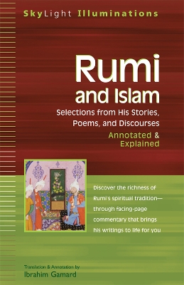 Rumi and Islam book