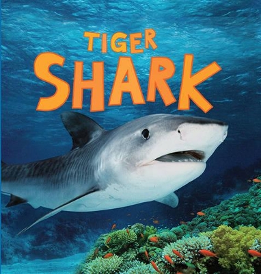 Discover Sharks: Tiger Shark book