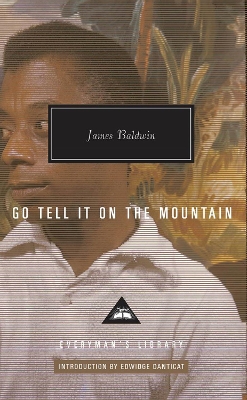 Go Tell It on the Mountain book
