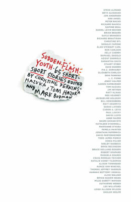 Sudden Flash Youth book