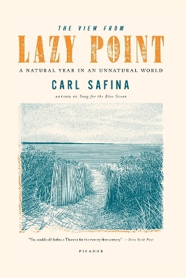 View From Lazy Point book