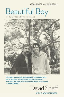 Beautiful Boy (Movie Tie-In Edition) by David Sheff