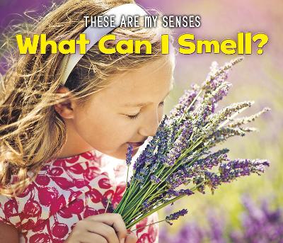 What Can I Smell? book