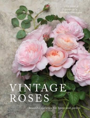 Vintage Roses by Jane Eastoe