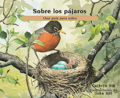 Sobre los pájaros: Una guía para niños book