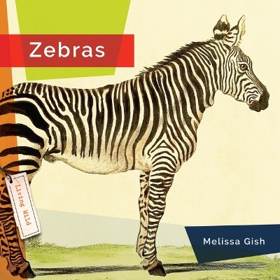 Zebras by Melissa Gish
