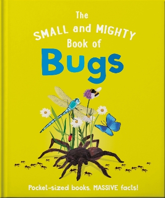 The Small and Mighty Book of Bugs: Pocket-sized books, MASSIVE facts! book