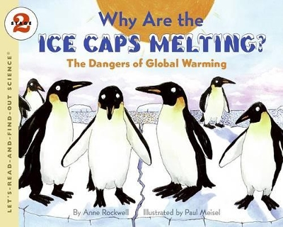 Why Are the Ice Caps Melting? book