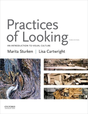 Practices of Looking book