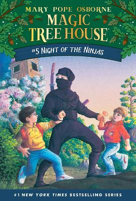 Night of the Ninjas book