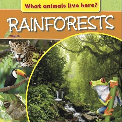 What Animals Live Here?: Rainforests book