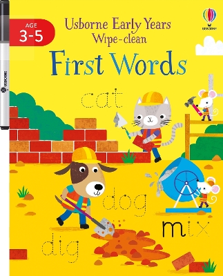 Early Years Wipe-Clean First Words book