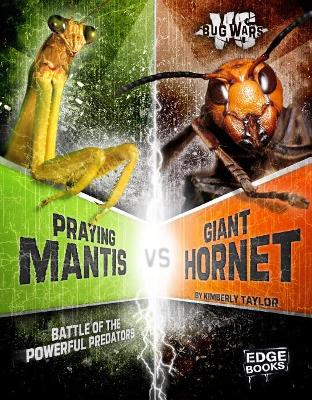 Praying Mantis vs. Giant Hornet by Alicia Z Klepeis