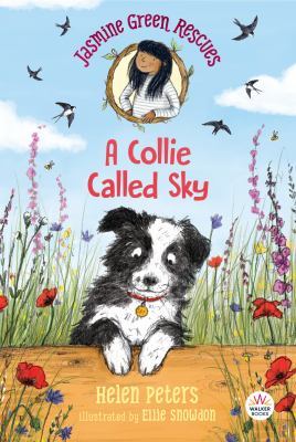 Jasmine Green Rescues: A Collie Called Sky book