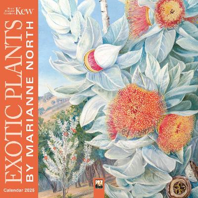 Kew Gardens: Exotic Plants by Marianne North Wall Calendar 2025 (Art Calendar) book