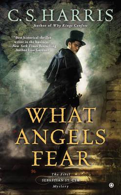 What Angels Fear book