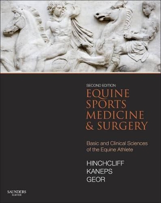 Equine Sports Medicine and Surgery by Kenneth W Hinchcliff