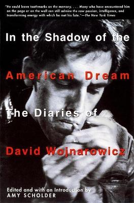 In the Shadow of the American Dream book