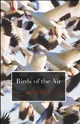 Birds of the Air book