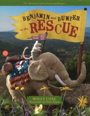 Benjamin and Bumper to the Rescue book