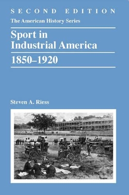 Sport in Industrial America, 1850-1920 book