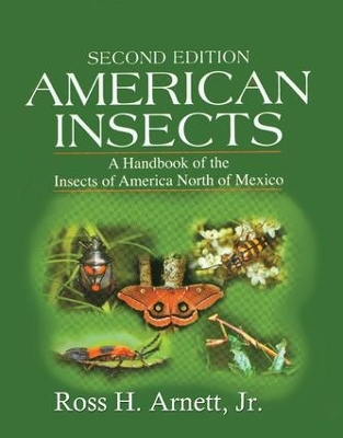 American Insects book