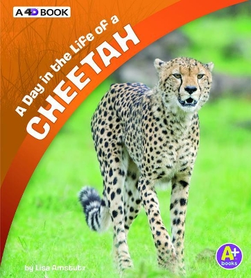 A Day in the Life of a Cheetah by Lisa J. Amstutz