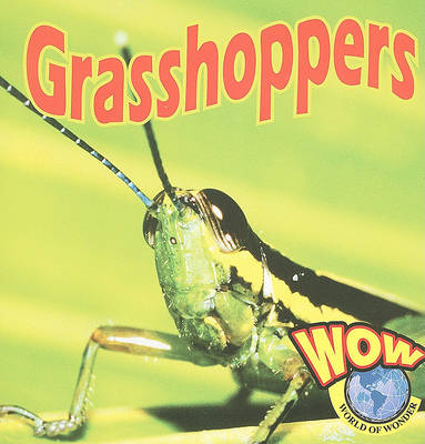 Grasshoppers by Heather C Hudak