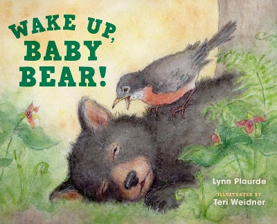 Wake Up, Baby Bear! book