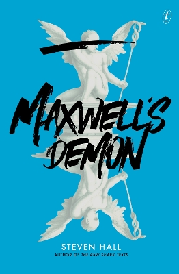 Maxwell's Demon book