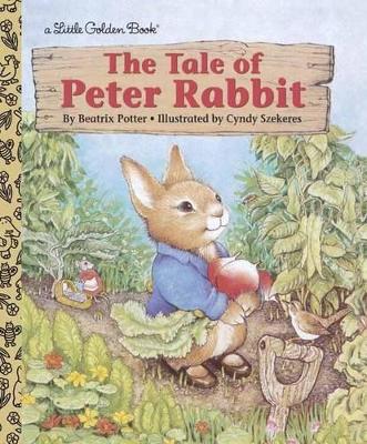Tale of Peter Rabbit book