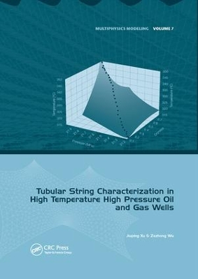 Tubular String Characterization in High Temperature High Pressure Oil and Gas Wells book