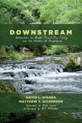 Downstream by David L O'Hara