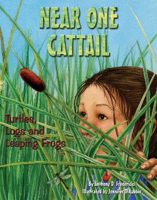 Near One Cattail book