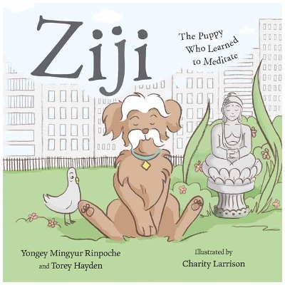 Ziji book