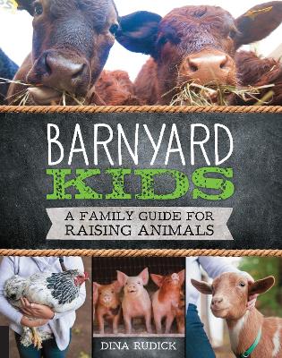 Barnyard Kids by Dina Rudick