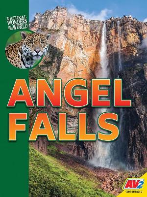 Angel Falls book