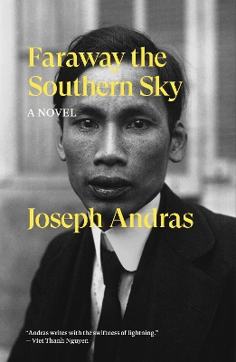 Faraway the Southern Sky: A Novel book