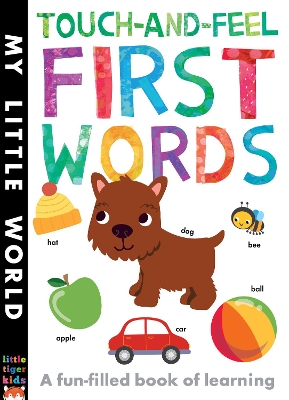 Touch-and-feel First Words: A Fun-filled Book of First Words book