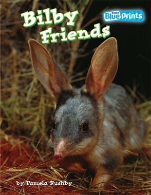 Blueprints Middle Primary A Unit 4: Bilby Friends book