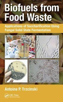 Biofuels from Food Waste book