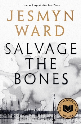 Salvage the Bones book