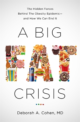 Big Fat Crisis book