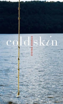 Cold Skin book