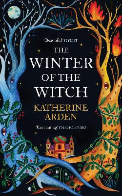 Winter of the Witch book