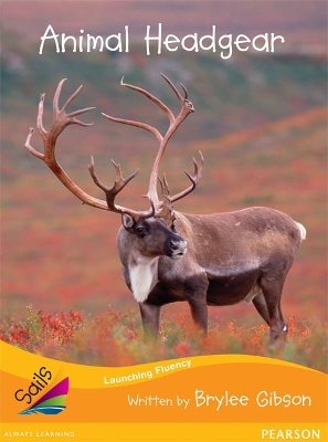 Sails Fluency Orange Set 1: Animal Headgear book