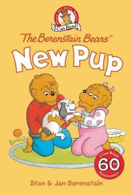Berenstain Bears' New Pup book