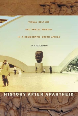History after Apartheid book