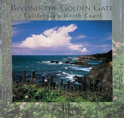 Beyond the Golden Gate book